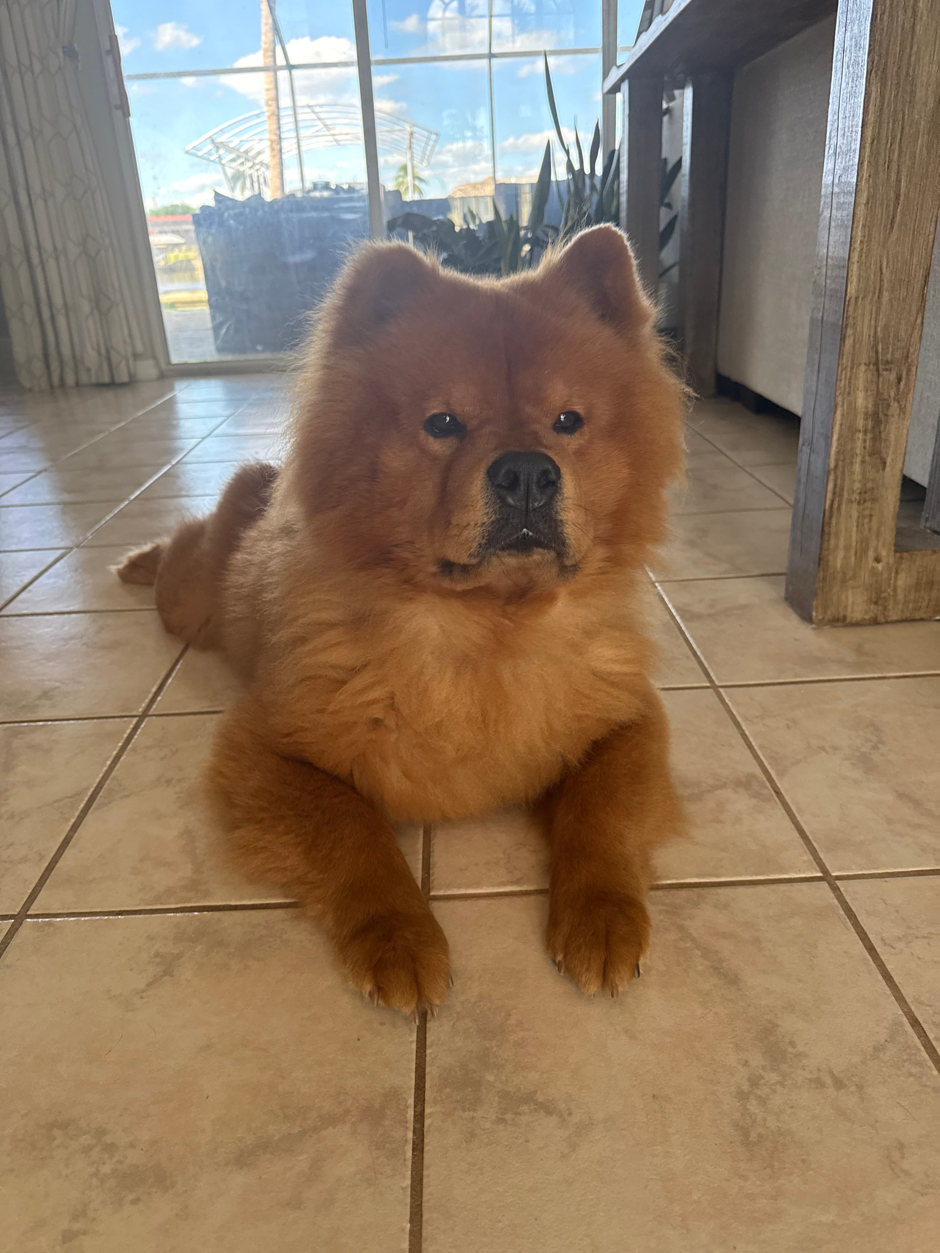 Leo