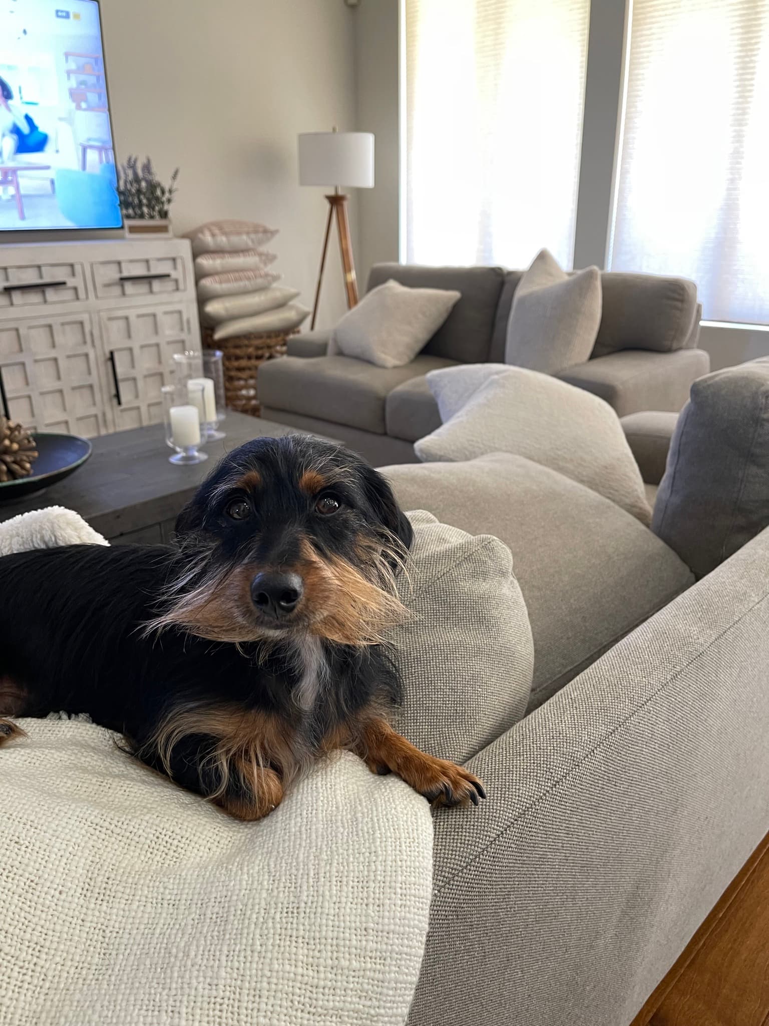 Winston
