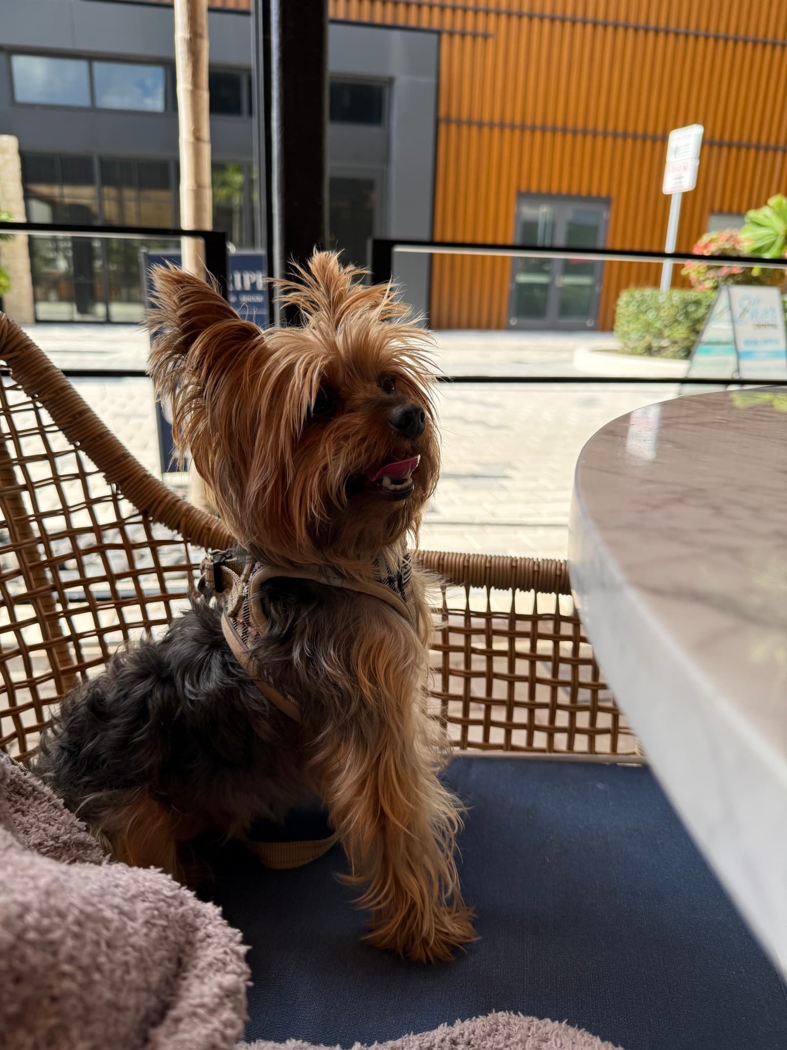 Sunday brunch date!