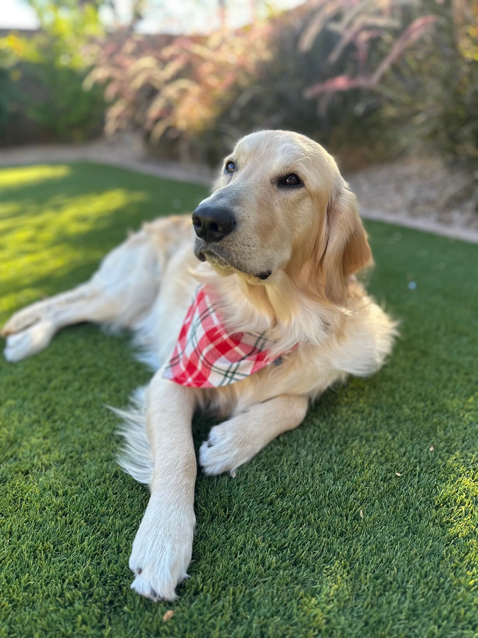 “Mom, did you get my good side?” - Benny