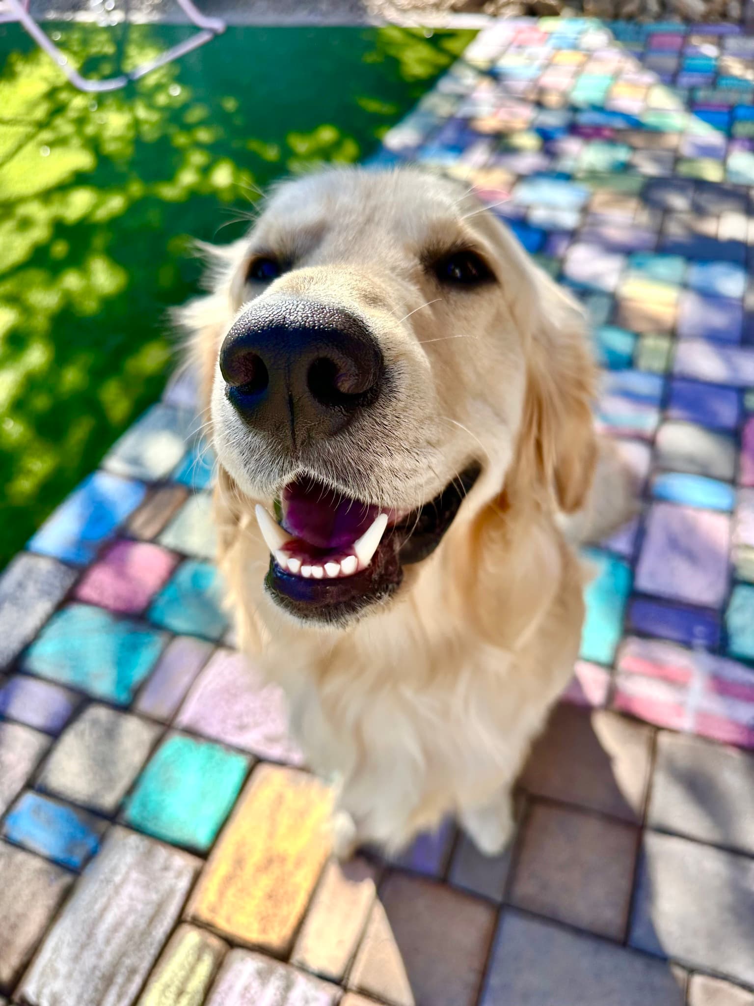 Benny
